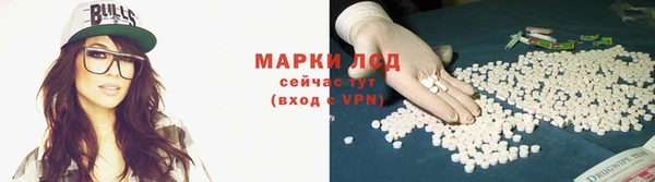 ECSTASY Сосновый Бор