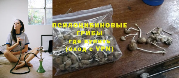 гашик Армянск